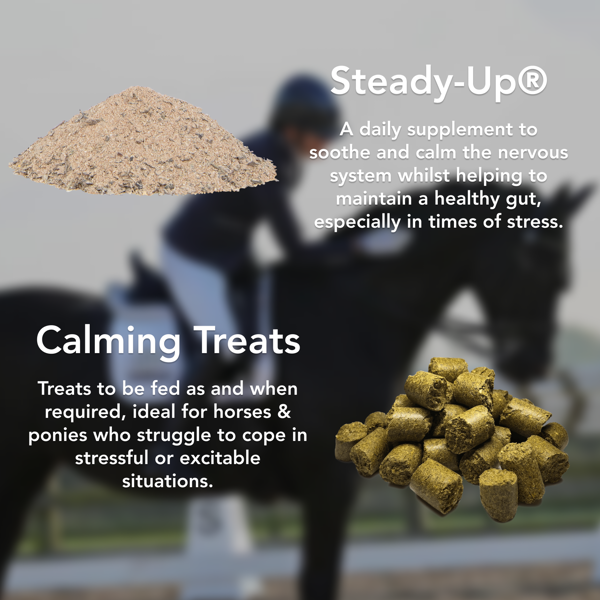 Calming bundle information on Steady-Up® and Calming Treats