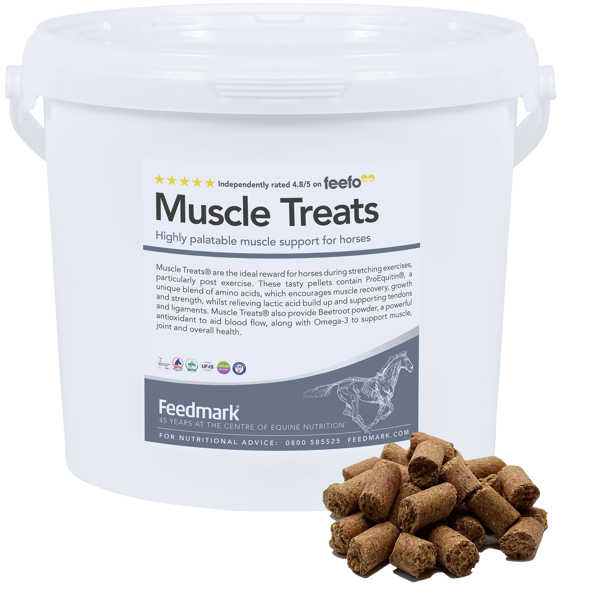 Tub of muscle building treats for horses