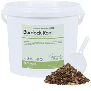 Picture of Burdock Root