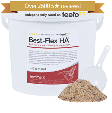 Best-Flex HA® horse supplement for joint health