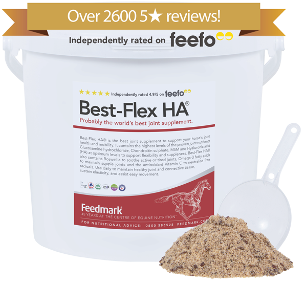Best-Flex HA® horse supplement for joint health