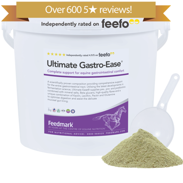 Ultimate Gastro-Ease Gastric Supplement for horses Product Image