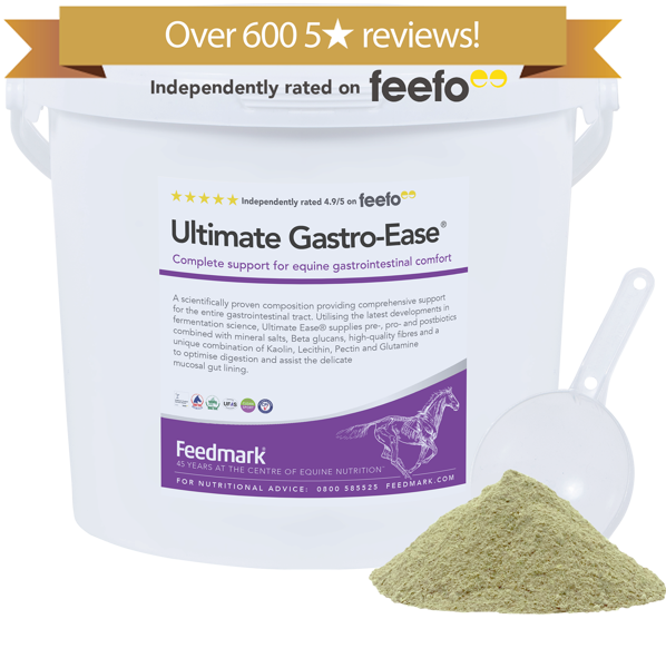 Ultimate Gastro-Ease Gastric Supplement for horses Product Image