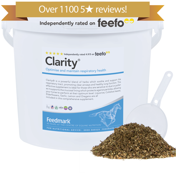 Clarity Horse Respiratory Supplement Product Image