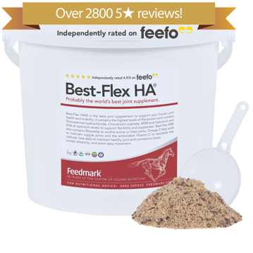Best-Flex HA® horse supplement for joint health