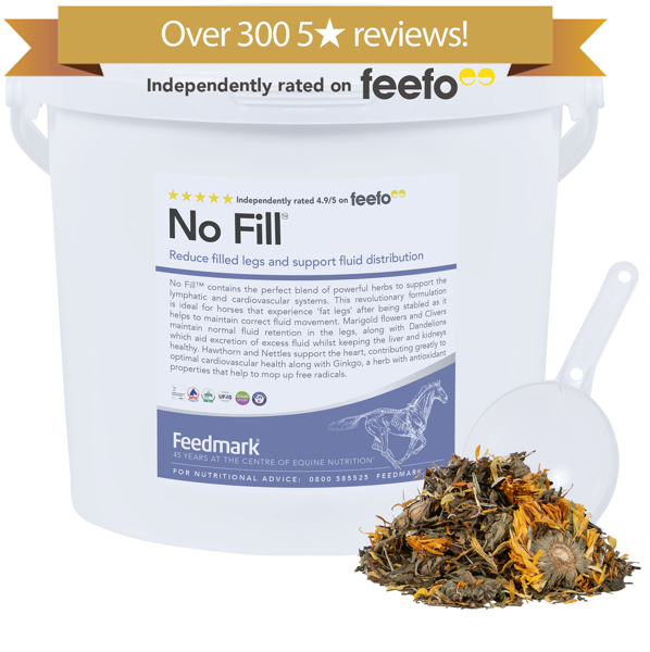No Fill™ Horse Lymphatic Supplement Product Image 300 reviews