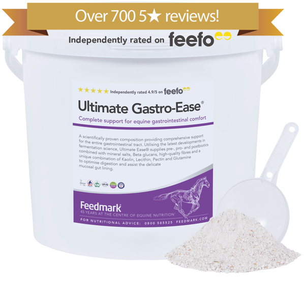 Ultimate Gastro-Ease Gastric Supplement for horses Product Image