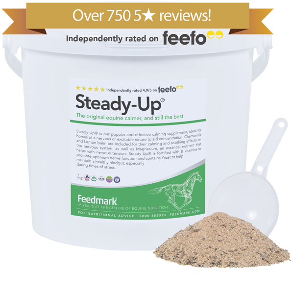 Steady-Up horse calming supplement product image 750 reviews