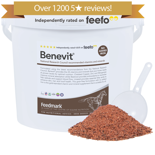 Benevit® Horse Vitamin and Mineral Supplement Product Image 1200 reviews