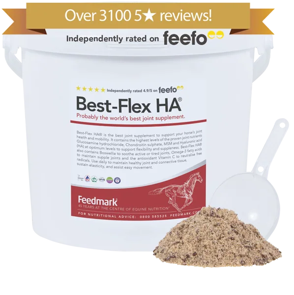 Best-Flex HA® horse supplement for joint health