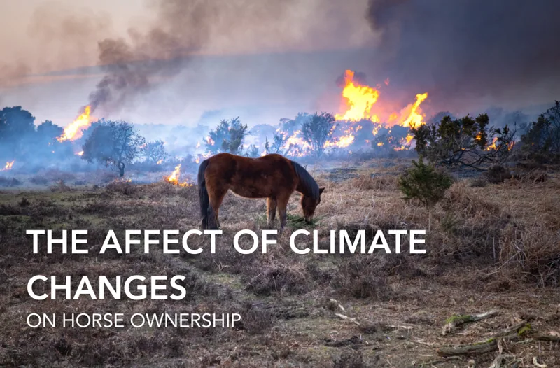 How Is Climate Change Affecting Horse Ownership? | Equine Science Matters™