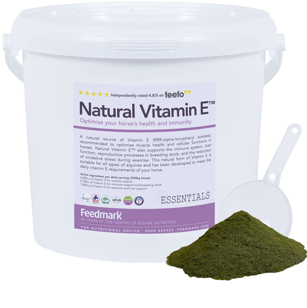 All Natural Vitamin E supplement for immune system health