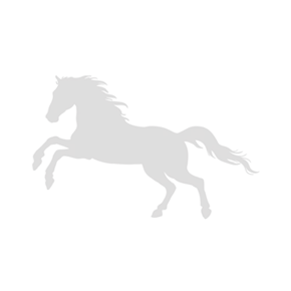 Picture of TEST CH