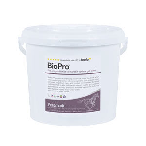 Feedmark | Managing Issues In Spring