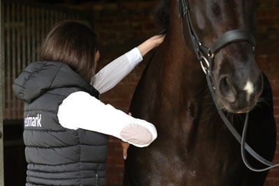 woman assessing horse's condition
