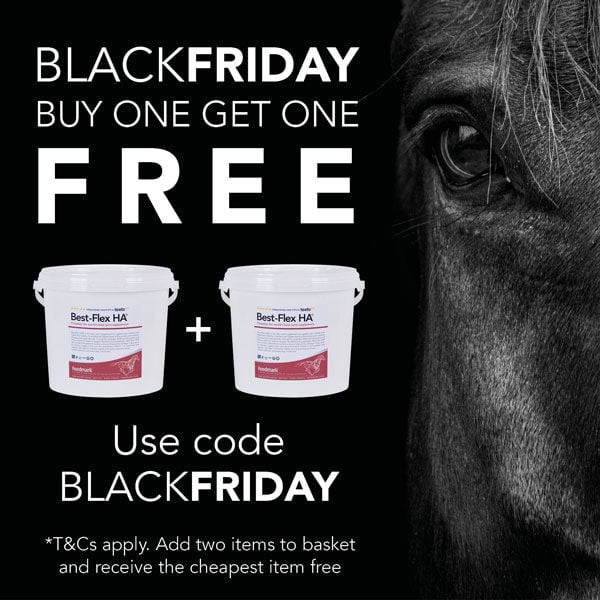 Black friday text and a black horse on a black background