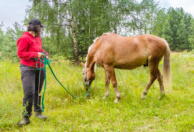 hand grazing