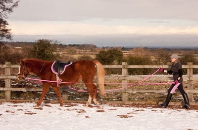 horse being long lined in winter